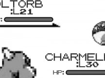 Pokemon Flash